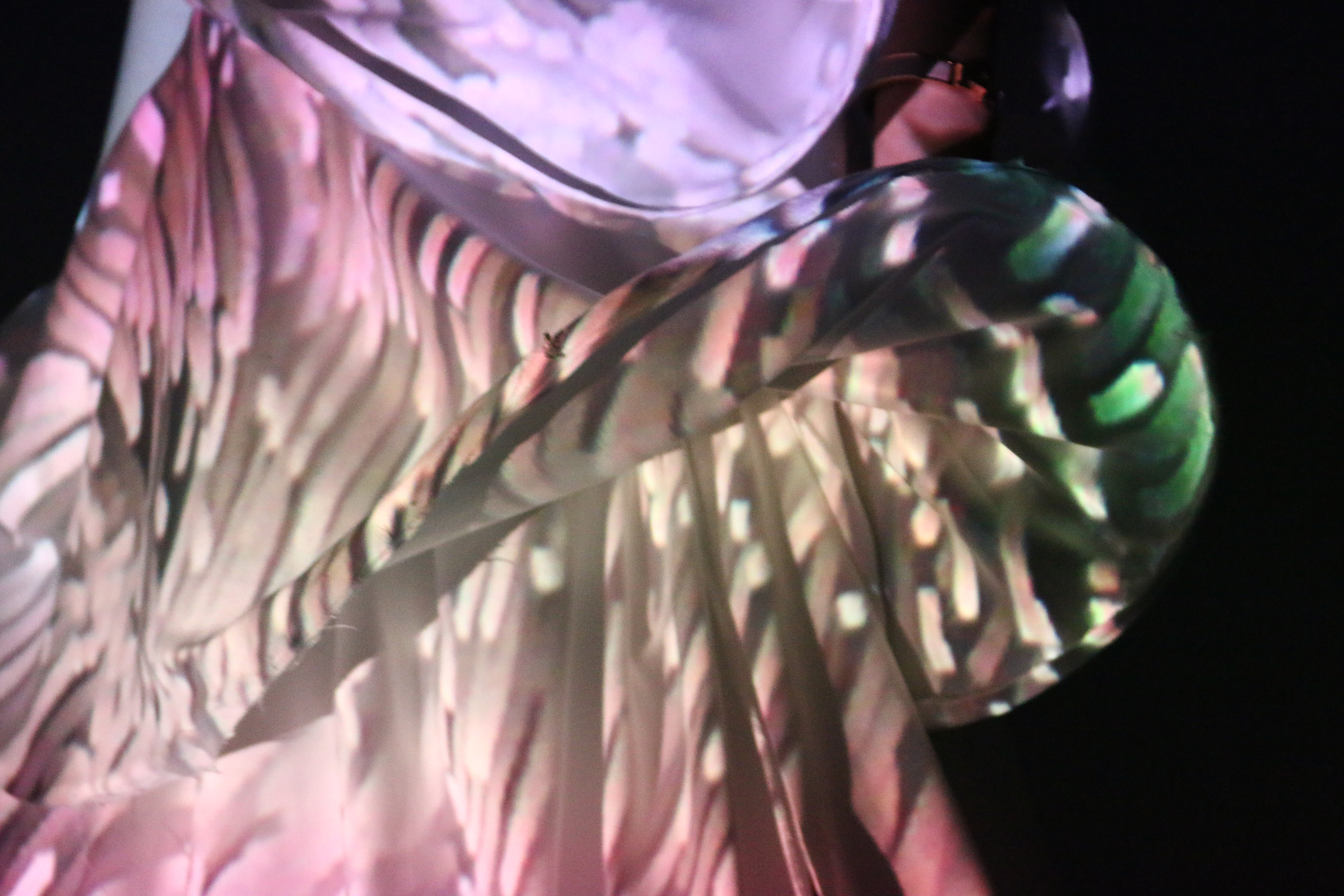 Shaman Planet — frame-18-06-fabric-projection.png